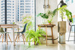 © Lawren Lu/Stocksy - Corner of workspace with green plants