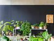 © Lawren Lu/Stocksy - Plants decoration of a coffe shop