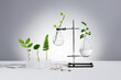 © Marc Tran/Stocksy - Herbal cosmetic products, laboratory glassware and ingredients