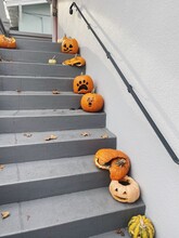 Dead pumpkins after Halloween