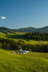 Wall Mural - many yurts on grassland in sunset