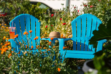 Empty Blue Garden Chairs Outdoor