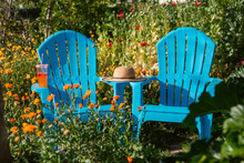 Blue Chairs At Blooming Garden
