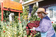 © ByLorena/Stocksy - Happy elderly woman cutting weeds at garden