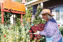 Happy Elderly Woman Cutting Weeds At Garden