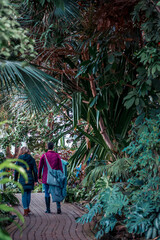 Poster - Tourists exploring the tropical garden in Grand Rapids Michgian