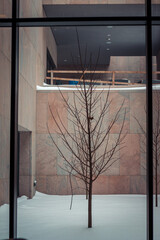 Poster - Tree in a small courtyard in winter