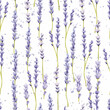 Lavender branches watercolor seamless pattern on watercolor splashes background	