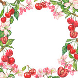 Fototapeta  - Cherry. watercolor botanical illustration of cherry berries and flowers. frame for cards and invitations