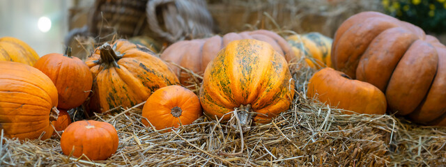 Pumpkins in the hay. Autumn decorative background.