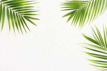 Wall Mural - Image of tropical green palm over white wooden background