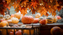 Blurred Pumpkins Autumn Decorative Background Composition
