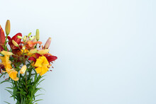 Red, Yellow, Orange Flowers On Lite Blue Solid Background. Copy Space. Banner.