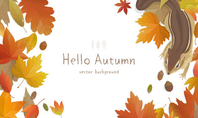 Wall Mural - Vector illustration of autumn banner background with copy space. Fall landscape concept.