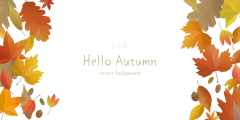Wall Mural - Vector illustration of autumn banner background with copy space. Fall landscape concept.