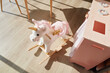 cheval à bascule enfant en forme de licorne rose 