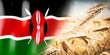 Kenya - flag and ripe rye field - crops, cereal, harvest concept