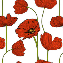 Seamless Floral Decorative Pattern With Red Flowers And Buds. Poppies, Shirley, Canker Rose, Papaver. Endless Spring Texture For Your Design, Fabrics, Decor. Graphic Illustration