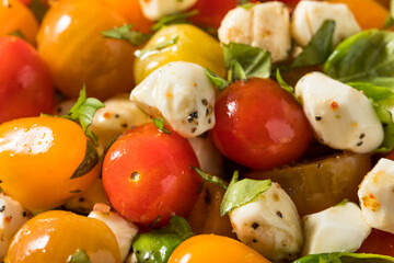 Canvas Print - Healthy Homemade Caprese Salad