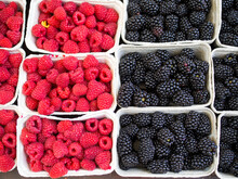 Fresh Fruit Varieties, Several Bowls With Blackberries And Raspberries, Arranged Graphically