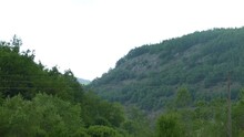 Footage Of The Hillside Covered With Green Vegetation.