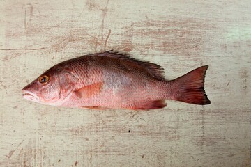 Poster - Top view of a sea bass fish on a wooden table