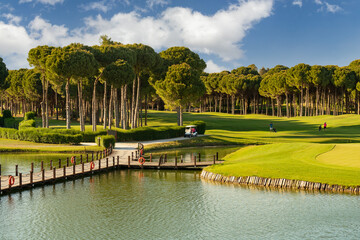 Wall Mural - Golf course with lake, golf cart and players