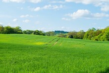 Scenic View Of A Green Field Surrounded With Trees Against A Blue Cloudy Sky