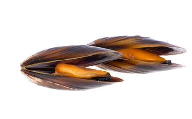 Sticker - mussels isolated