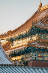 Wall Mural - the forbidden city in beijing, china