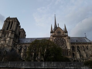 Sticker - Shot of the Notre-Dame de Paris