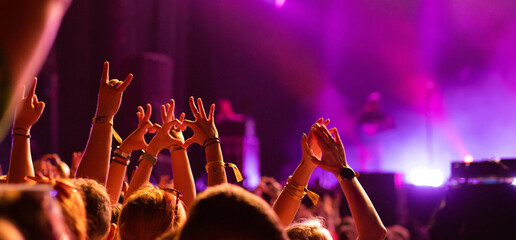 Wall Mural -  crowd partying stage lights live concert summer music festival