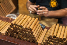 Man Making Cigars On The Street Of Calle Ocho, Miami, Florida, USA