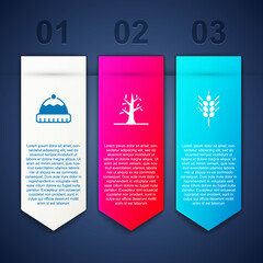 Sticker - Set Winter hat, Bare tree and Wheat. Business infographic template. Vector