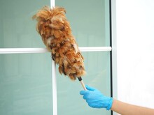 Woman Is Cleaning Her Window With A Feather Broom Or Duster. Closeup Photo, Blurred.