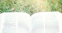 A Personal Bible Study Outside On The Green Grass