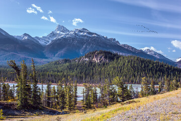 Canvas Print - Stunning Abraham Lake