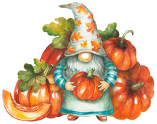 Fall Gnome With Pumpkins