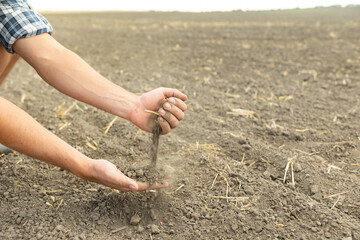 The farmer's hands hold a handful of fertile soil and pour it into the other hand. The concept of agriculture, agribusiness. The gardener holds fertilized earth in his palms.