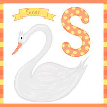 Cute Children Zoo Alphabet S Letter Tracing Of Swan For Kids Learning English Vocabulary.
