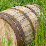Fototapeta  - stara drewniana beczka w trawie, zardzewiałe obręcze
