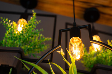 Wall Mural - A lighting bulb with greenery plant pot which is hanged from ceiling for decorating the room in greenery office style. Interior decoration object.