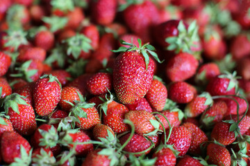 Wall Mural - Ripe fresh strawberries, berry  background