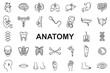 Anatomy Icons - Editable stroke