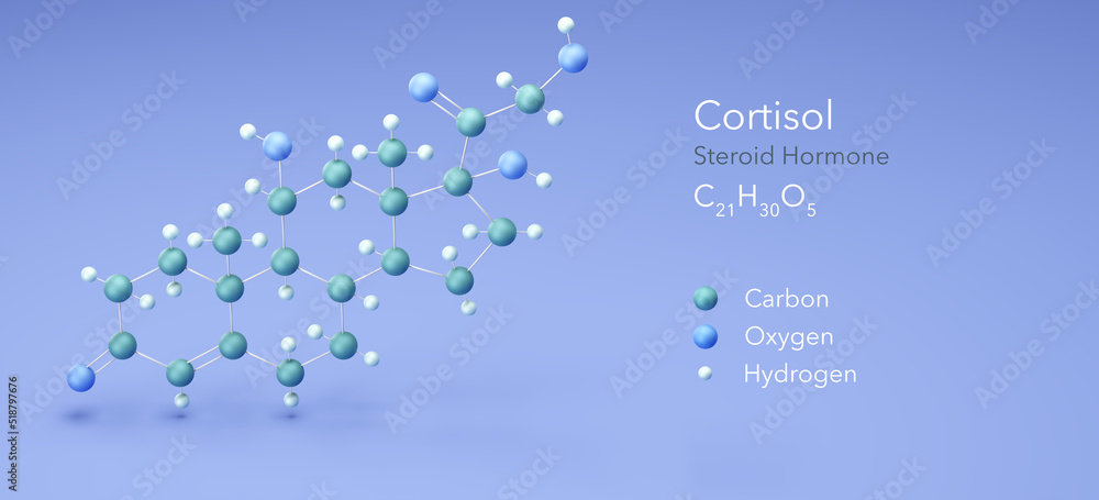Cortisol, steroid hormone. Structural Chemical Formula and Atoms with ...