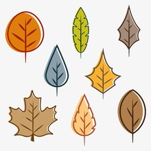 Fall Leaves Designs