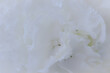 Close up of white hydrangea. White flower background. soft filter.