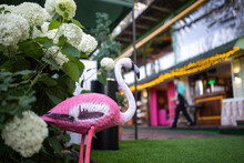Pink Flamingo Statue Standing In Green Bushes On The Street