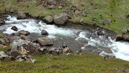 Wall Mural - Fantastic landscape with flowing rivers and streams with rocks and grass in Iceland.