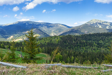 Wall Mural - Polonina (pasture) in  Carpathian Mountains, Ukraine.